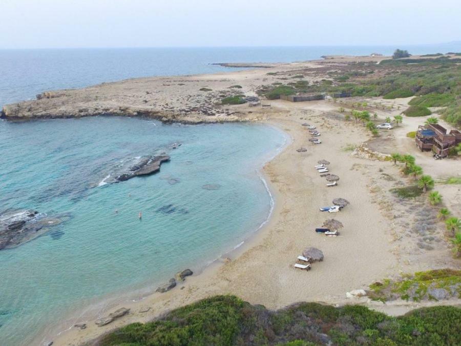 Balci Plaza Hotel And Balci Plaza Guest Bungalows Karpaz Peninsula Selenias Exterior foto